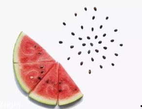 吃瓜吃撑了胃难受