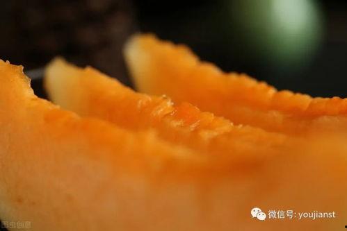 认真吃瓜杨同学,揭秘“认真吃瓜”杨同学的瓜界传奇