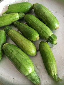 只有角瓜怎么吃