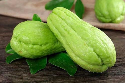 付子瓜尖可以吃不,探索付子瓜尖的独特风味