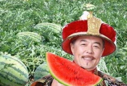 乾隆吃瓜图片,宫廷吃瓜图鉴