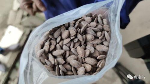 怎么利用吃瓜赚钱呢,如何从网络热点中赚取收益