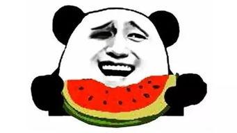 南宁吃瓜社长是谁呀,网络红人的崛起之路