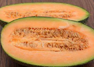 吃哈密瓜漫画,一场味蕾与幽默的碰撞之旅