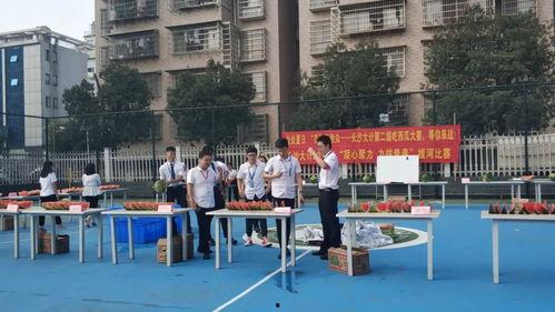 吃瓜大赛精彩片段,笑料百出,精彩片段盘点