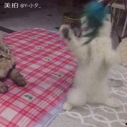 大爷吃瓜头像高清