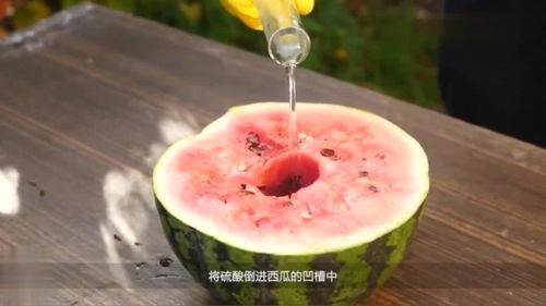 停药多久可以吃酸瓜,安全复食指南