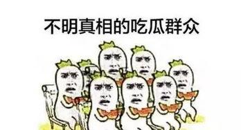 京东吃瓜群众,揭秘电商江湖背后的故事