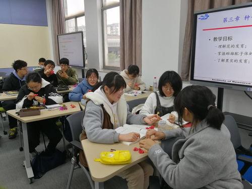 吃瓜大会诗词,诗词中的瓜田乐事
